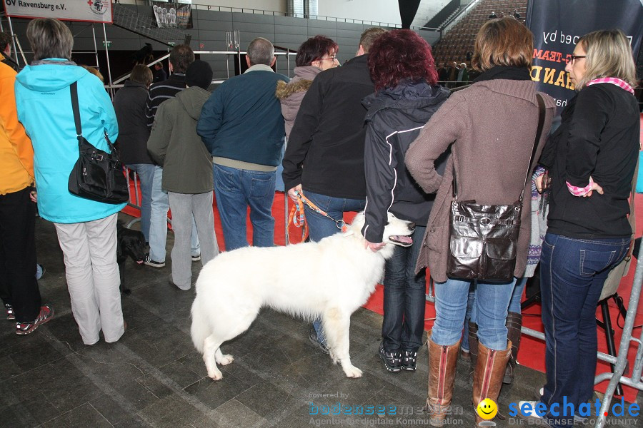 Hundemesse - Mein Hund 2012: Oberschwabenhalle: Ravensburg, 26.02.2012
