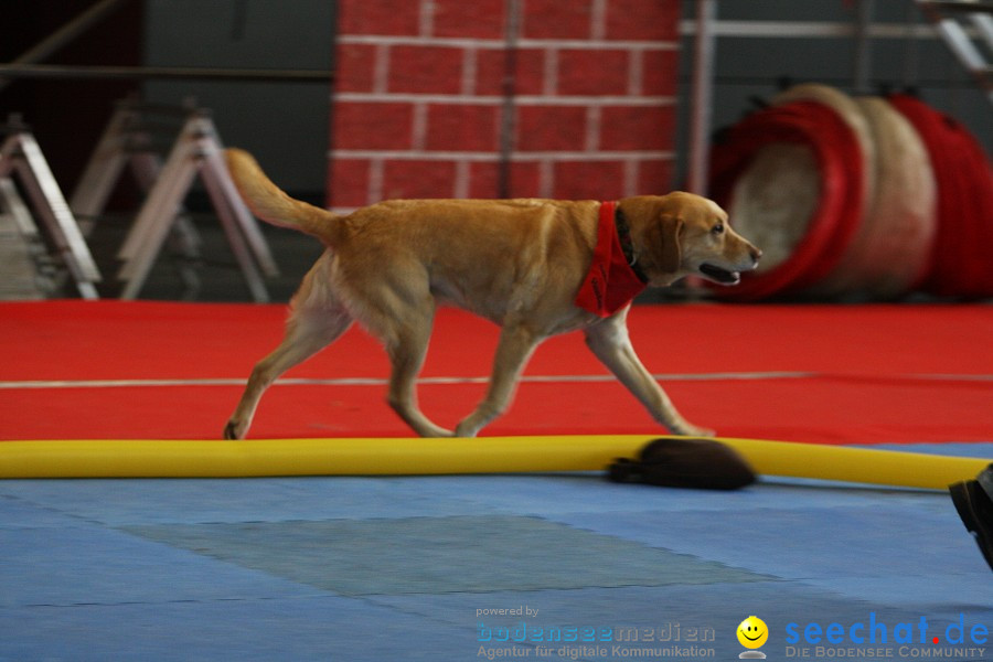 Hundemesse - Mein Hund 2012: Oberschwabenhalle: Ravensburg, 26.02.2012