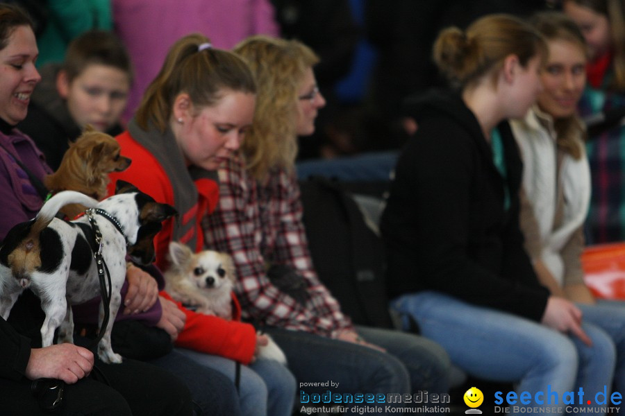 Hundemesse - Mein Hund 2012: Oberschwabenhalle: Ravensburg, 26.02.2012