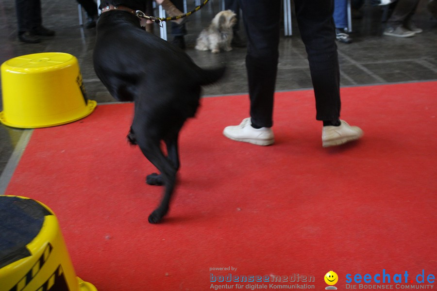 Hundemesse - Mein Hund 2012: Oberschwabenhalle: Ravensburg, 26.02.2012