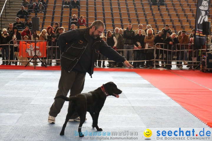 Hundemesse - Mein Hund 2012: Oberschwabenhalle: Ravensburg, 26.02.2012