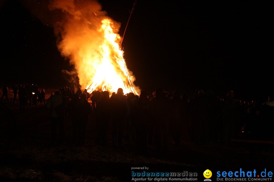 Funkenfeuer 2012: Ursaul am Bodensee, 26.02.2012