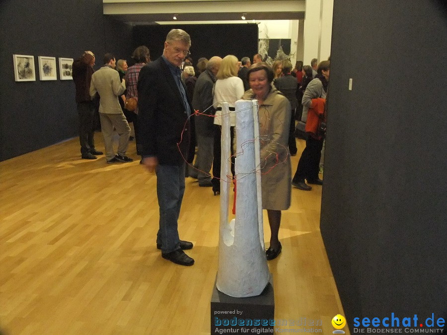Vernissage: In den Raum: Biberach, 23.03.2012