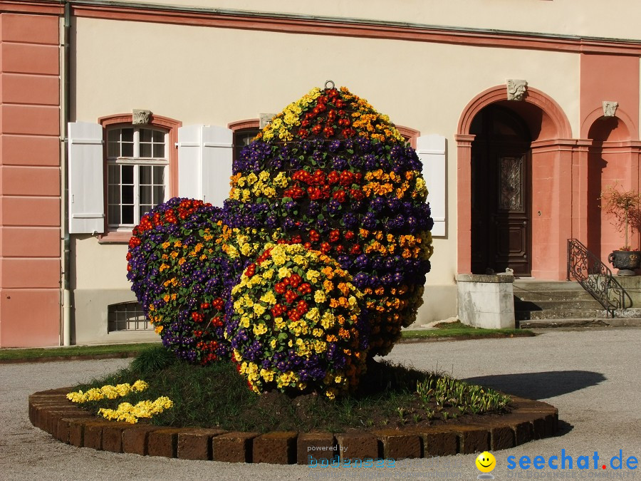 Insel-Mainau-23-03-2012-Bodensee-Community-SEECHAT_DE-_116.JPG