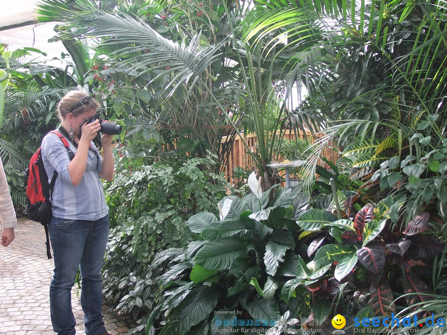Insel-Mainau-23-03-2012-Bodensee-Community-SEECHAT_DE-_28.JPG