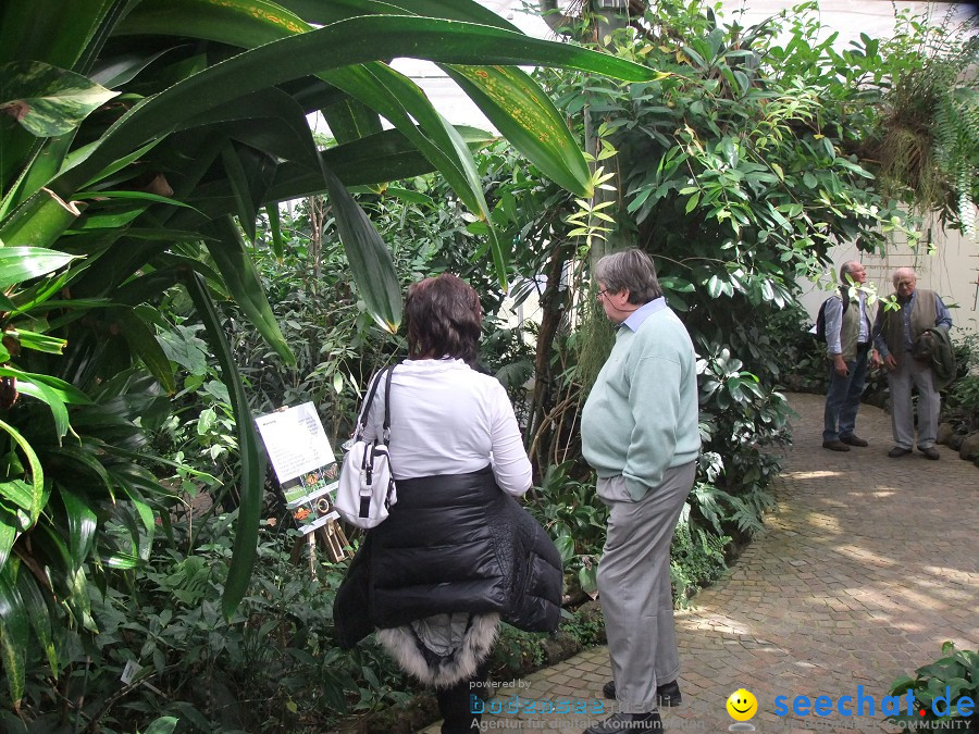 Insel-Mainau-23-03-2012-Bodensee-Community-SEECHAT_DE-_36.JPG