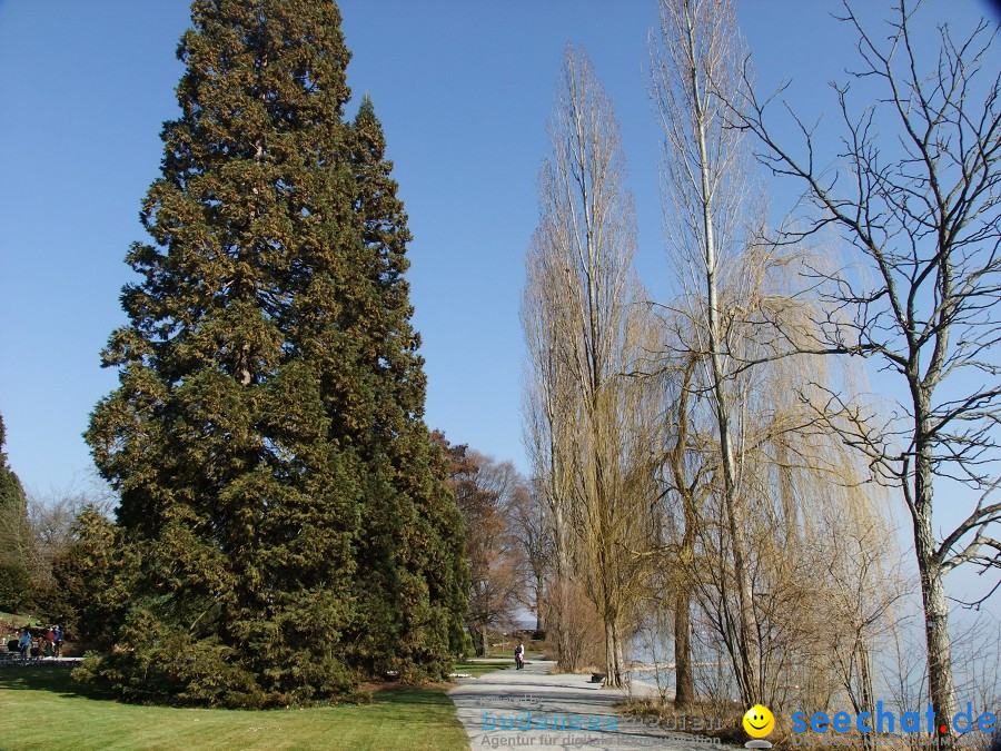 Insel-Mainau-23-03-2012-Bodensee-Community-SEECHAT_DE-_93.JPG