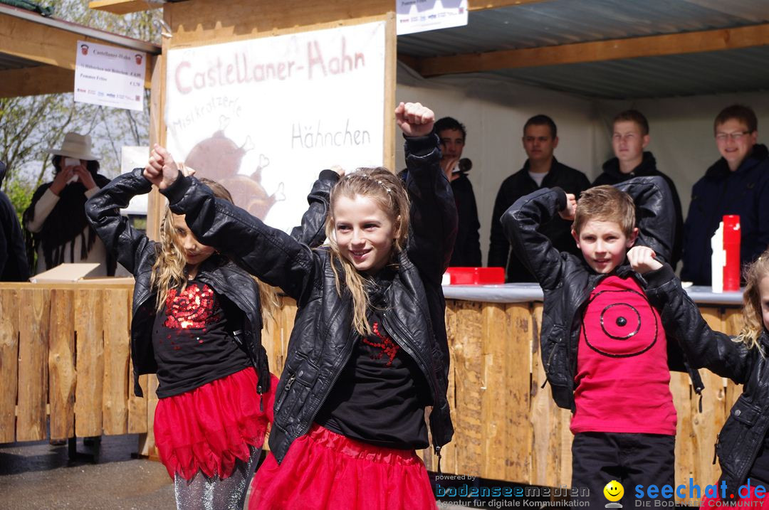 5. Hilzinger Gewerbeschau: Hilzingen am Bodensee, 22.04.2012