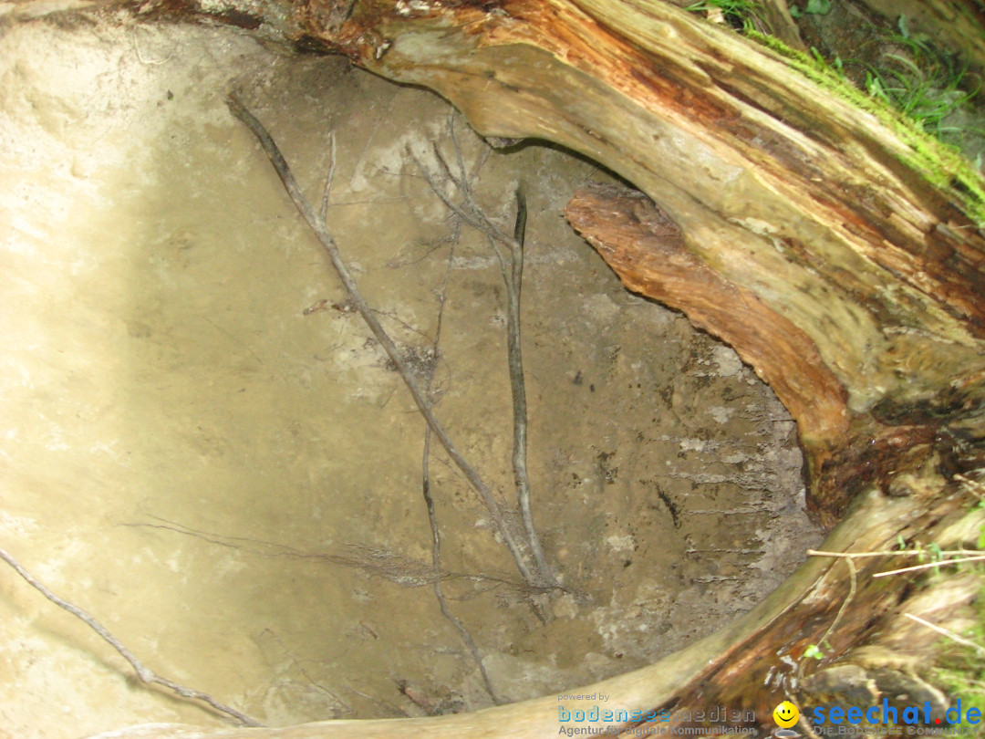 Marienschlucht: Bodman am Bodensee, 27.04.2012