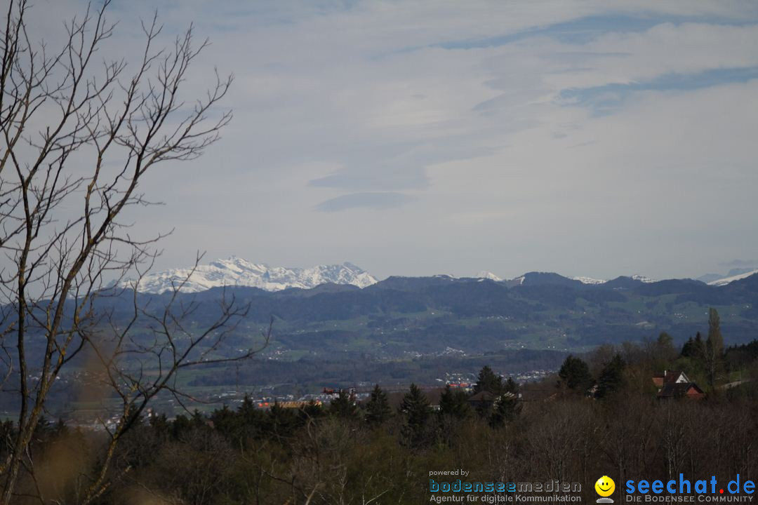 Zoo-Zuerich-26042012-Bodensee-Community_SEECHAT_DE-_11.jpg