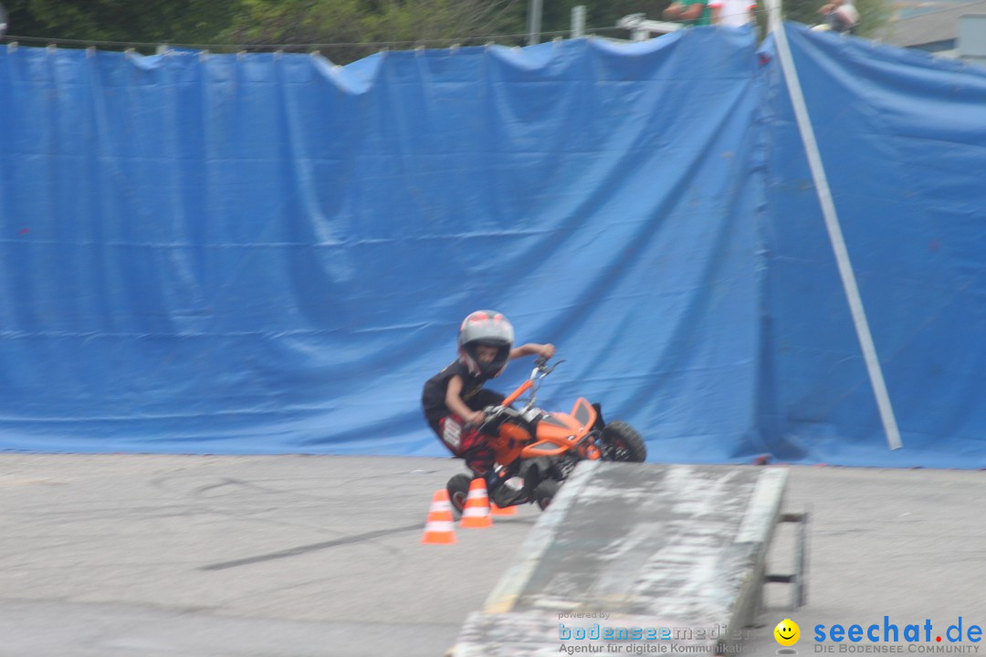 XXXXL-Monster-Truck-Show: Volkertshausen am Bodensee, 24.06.2012