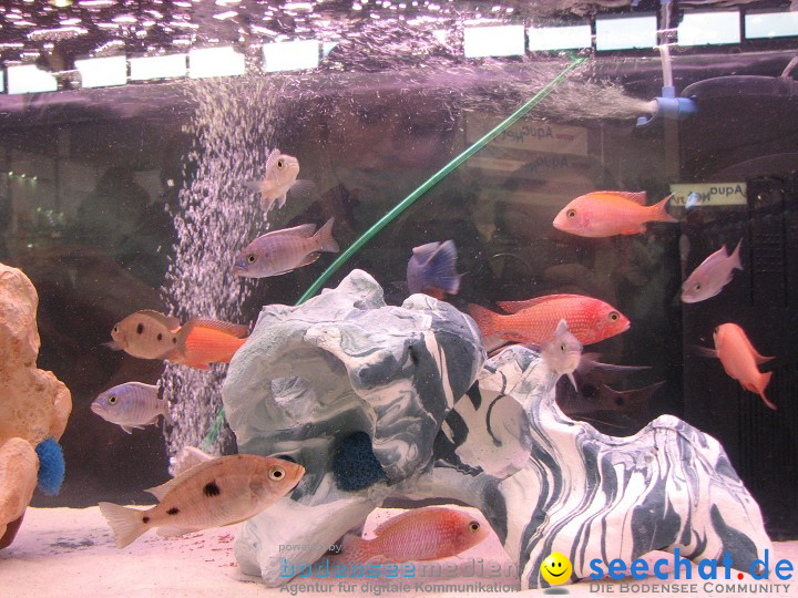 AQUA-FISCH 2009