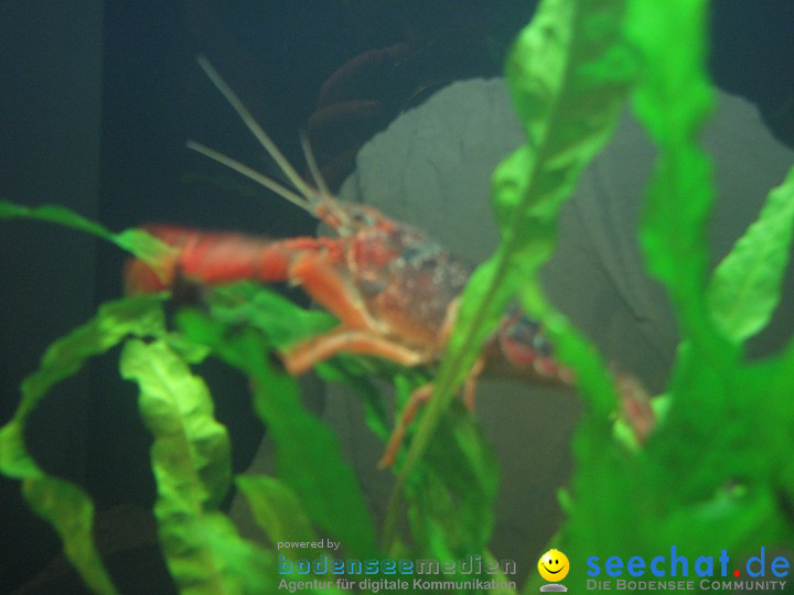 AQUA-FISCH 2009