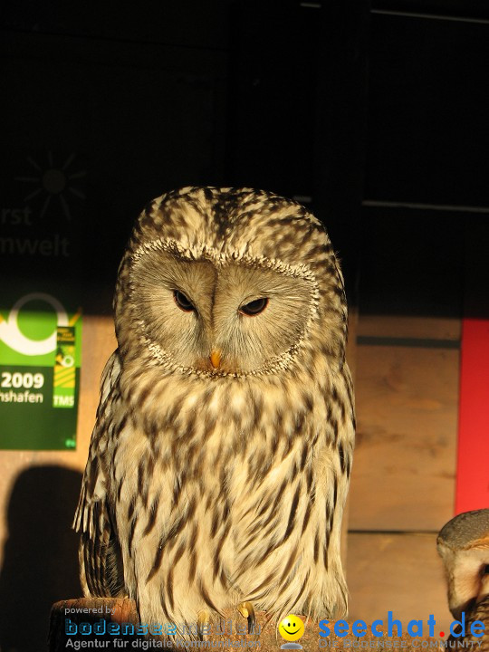 AQUA-FISCH 2009