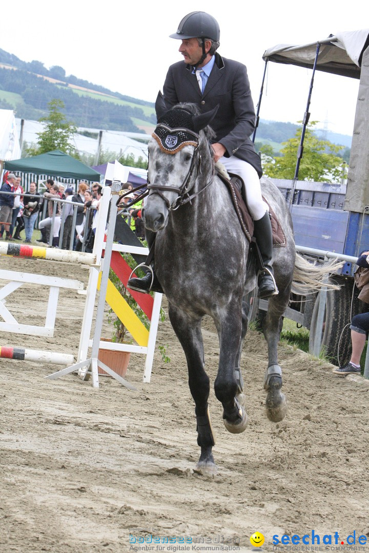 Reitturnier - Reitclub: Wahlwies am Bodensee, 29.07.2012