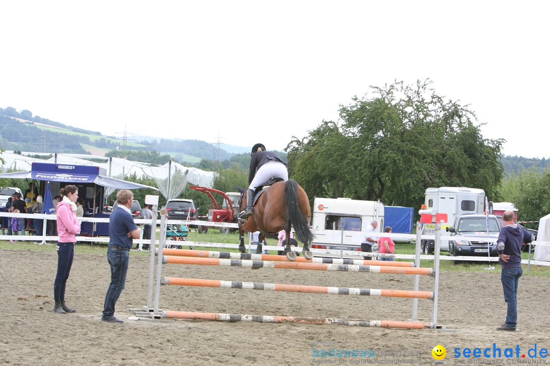Reitturnier - Reitclub: Wahlwies am Bodensee, 29.07.2012