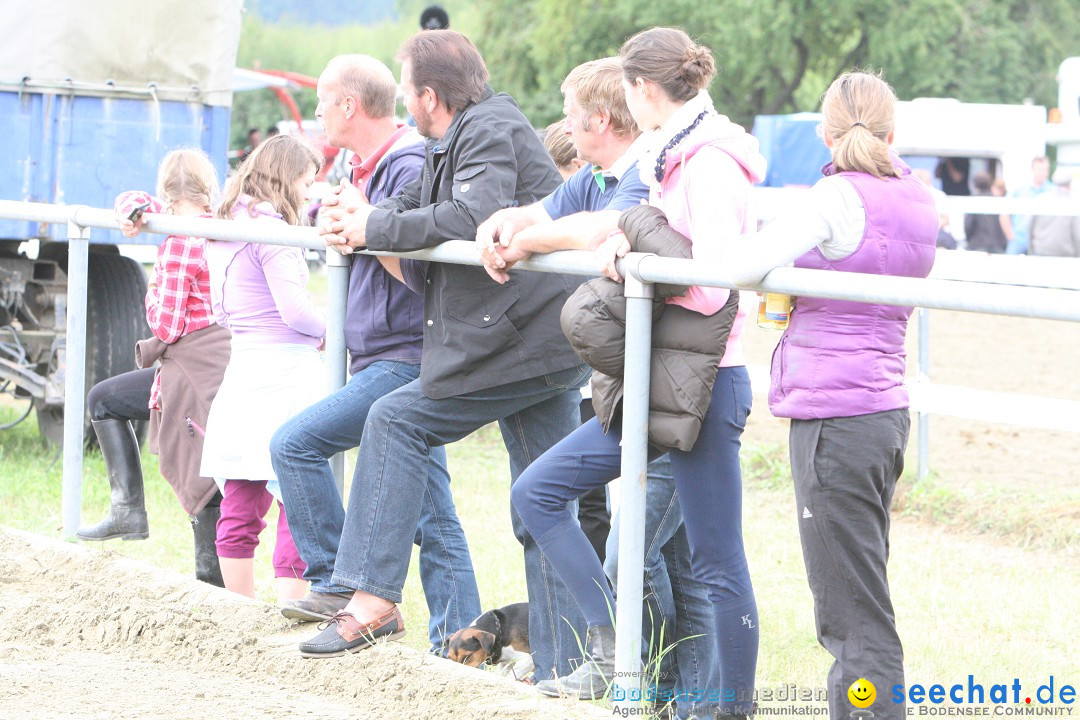 Reitturnier - Reitclub: Wahlwies am Bodensee, 29.07.2012