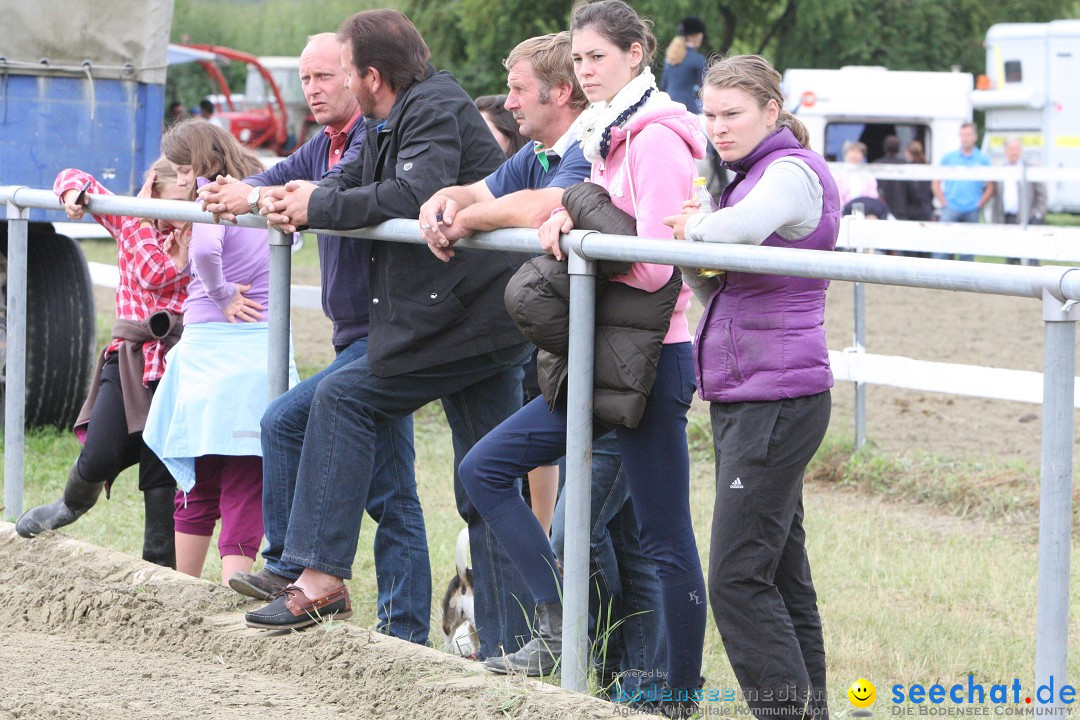 Reitturnier - Reitclub: Wahlwies am Bodensee, 29.07.2012