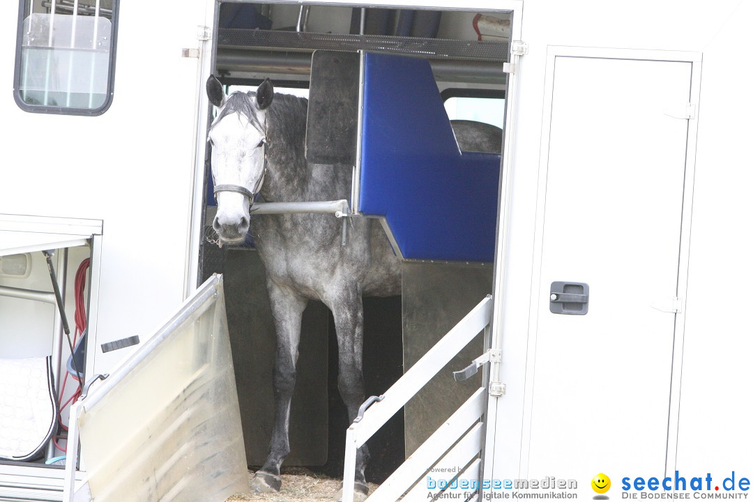 Reitturnier - Reitclub: Wahlwies am Bodensee, 29.07.2012
