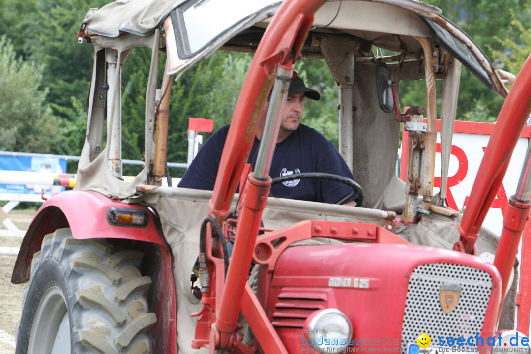 Reitturnier - Reitclub: Wahlwies am Bodensee, 29.07.2012