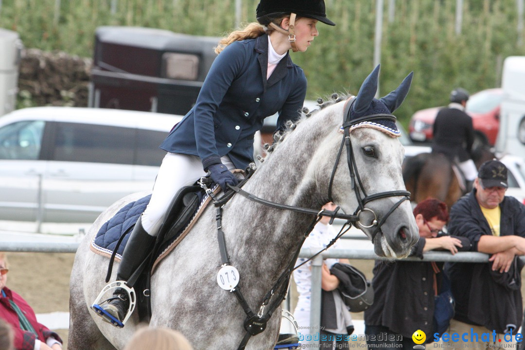 Reitturnier - Reitclub: Wahlwies am Bodensee, 29.07.2012