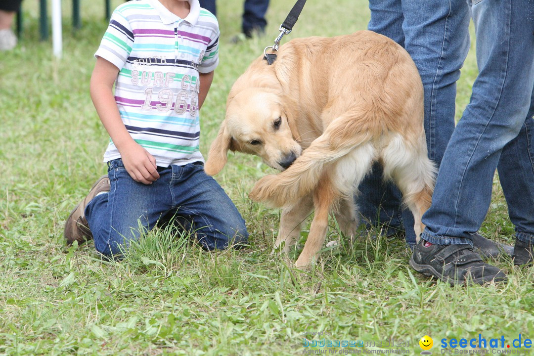 Reitturnier - Reitclub: Wahlwies am Bodensee, 29.07.2012