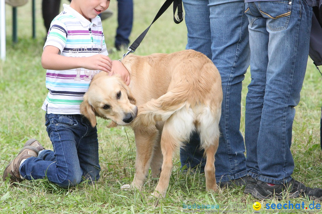 Reitturnier - Reitclub: Wahlwies am Bodensee, 29.07.2012