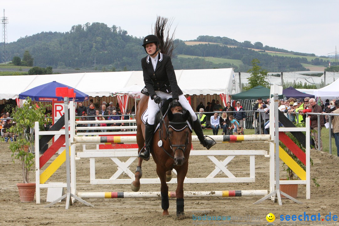 Reitturnier - Reitclub: Wahlwies am Bodensee, 29.07.2012