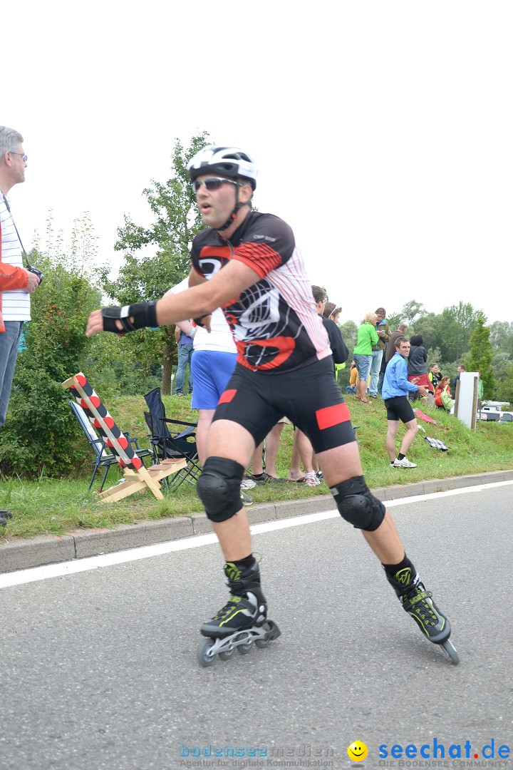 Bodensee Megathlon: Radolfzell am Bodensee, 29.07.2012
