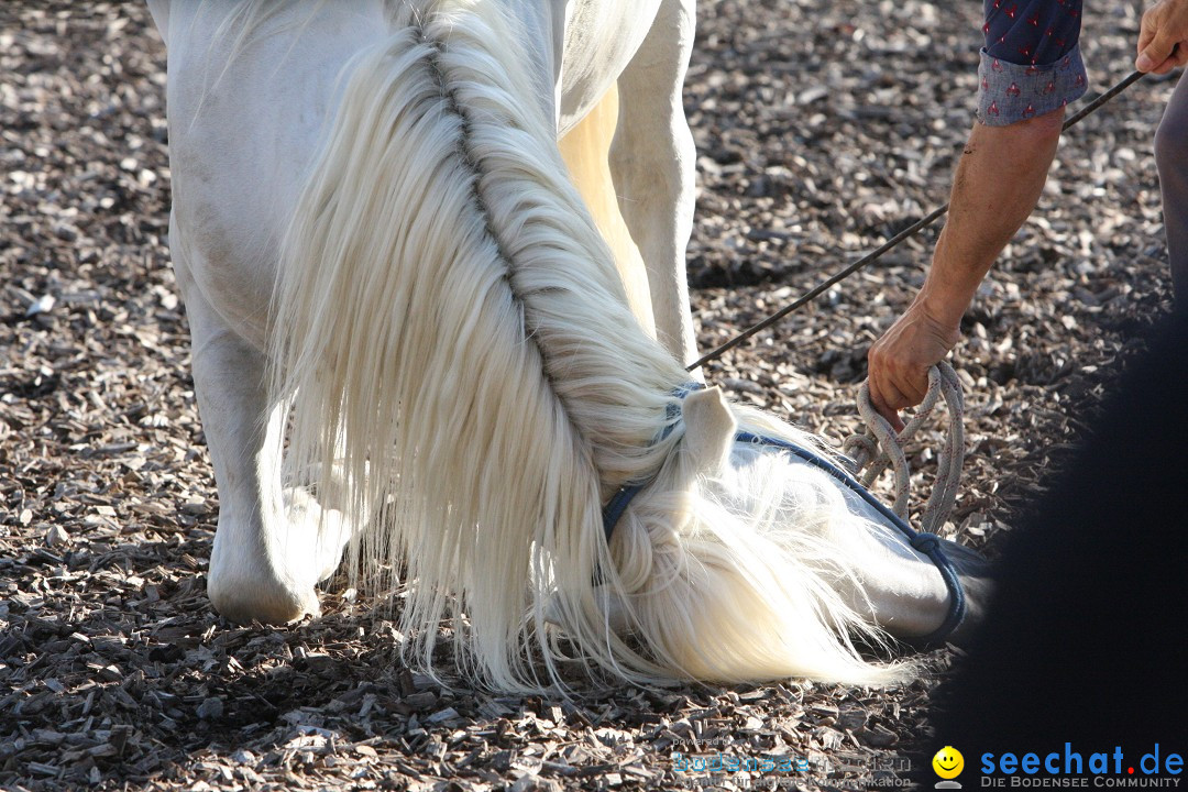 Hoffest auf der Criollo Ranch: Gailingen am Bodensee, 04.08.2012