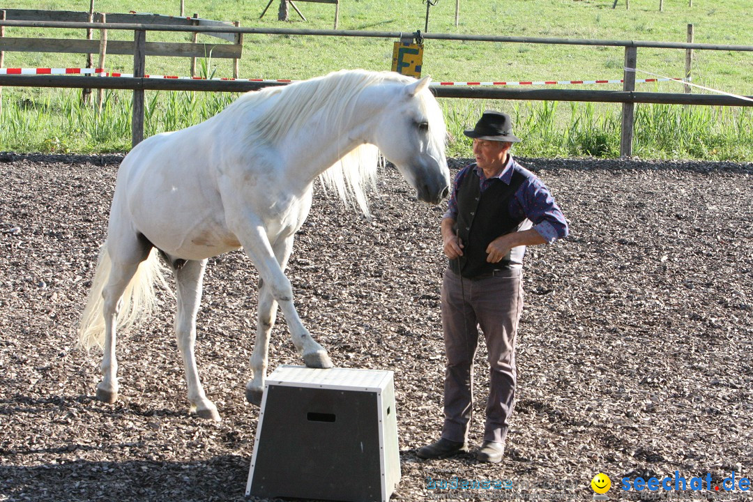Hoffest auf der Criollo Ranch: Gailingen am Bodensee, 04.08.2012