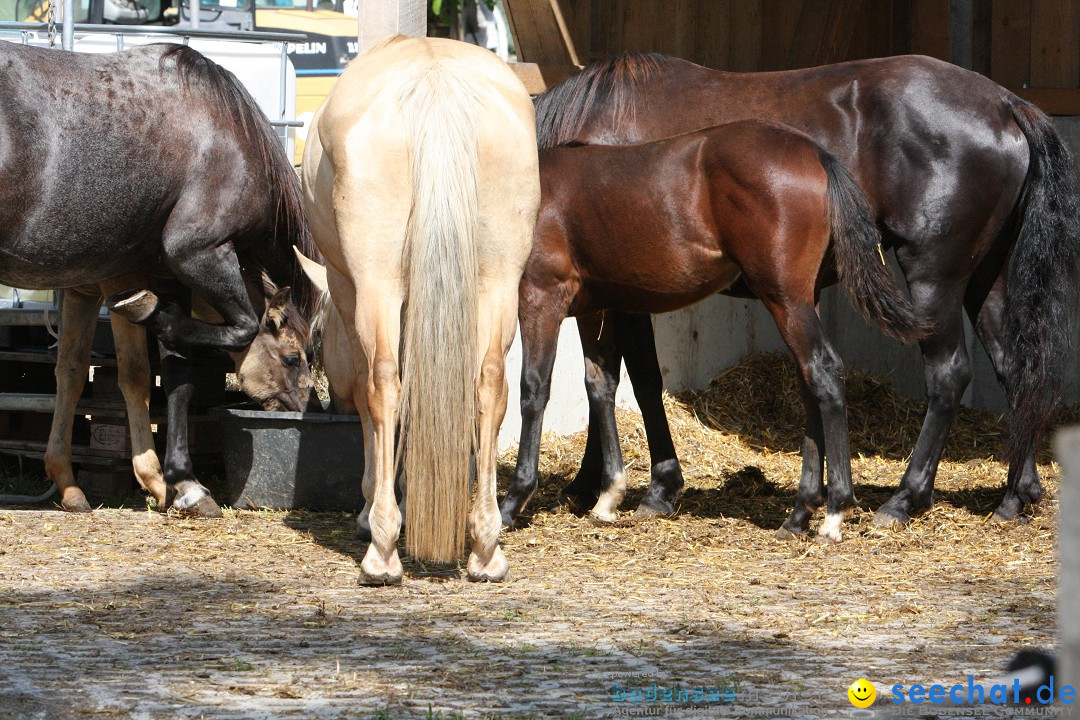 Hoffest auf der Criollo Ranch: Gailingen am Bodensee, 04.08.2012