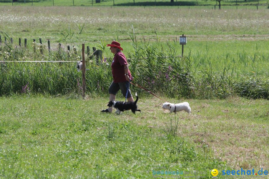 Hoffest auf der Criollo Ranch: Gailingen am Bodensee, 04.08.2012