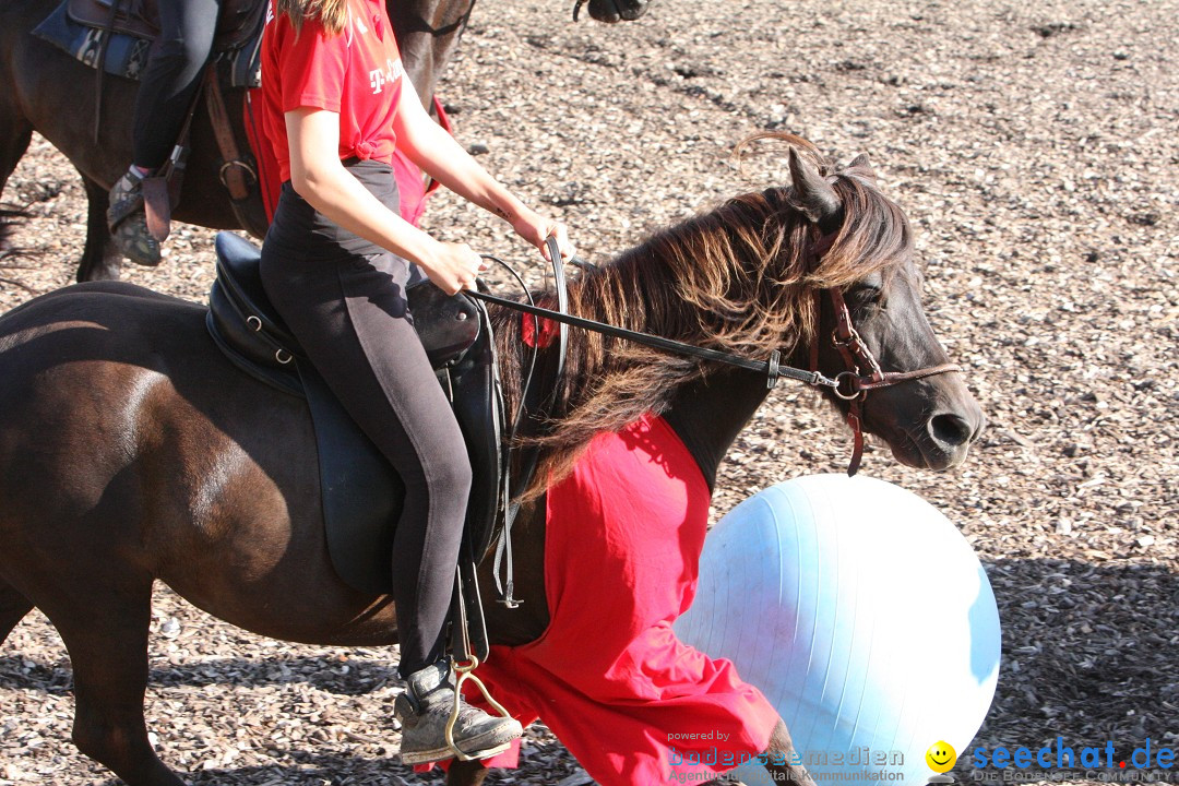 Hoffest auf der Criollo Ranch: Gailingen am Bodensee, 04.08.2012