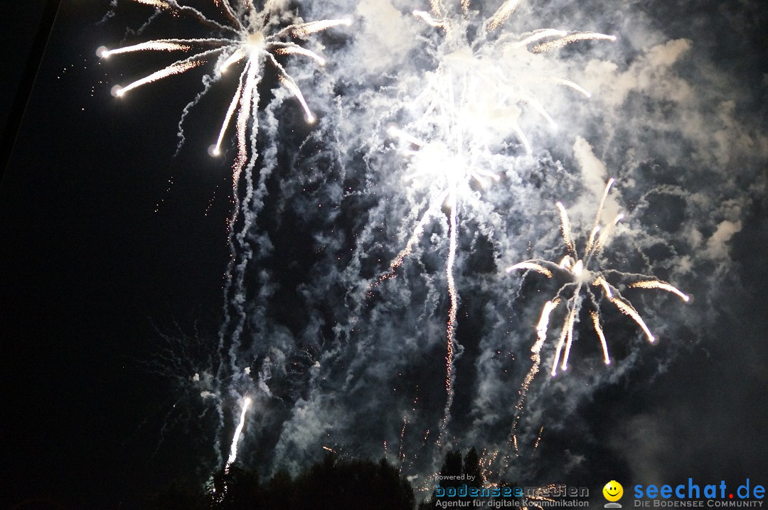 Feuerwerk - Seenachtfest 2012: Konstanz am Bodensee, 11.08.2012