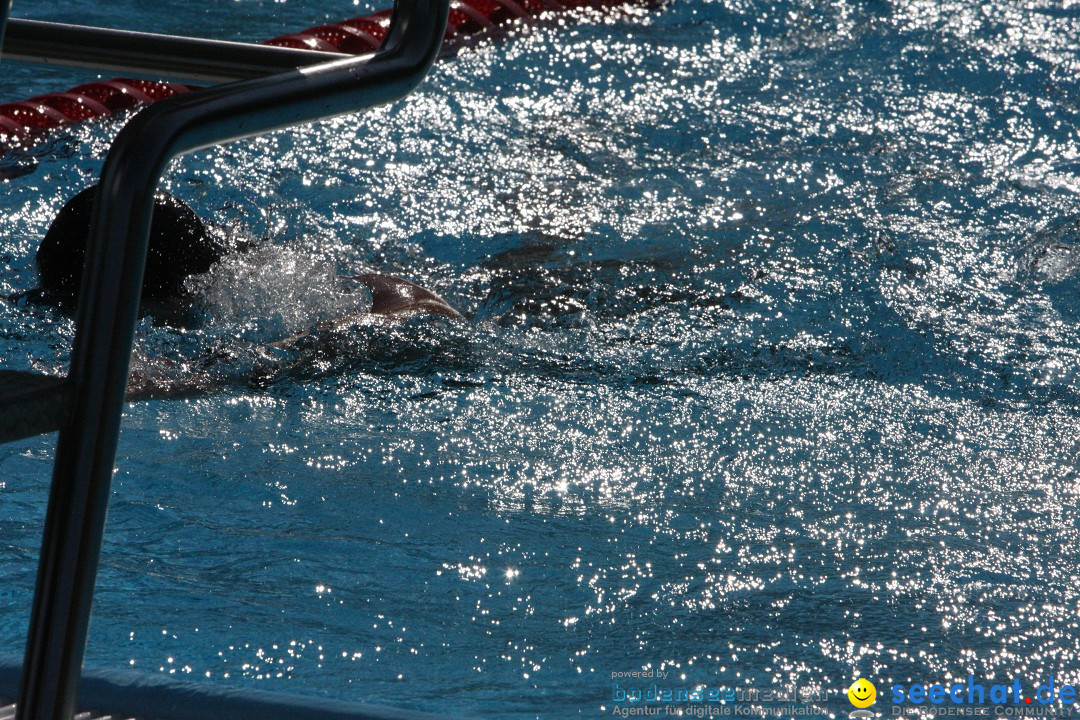 28. Stockacher Triathlon: Stockach am Bodensee, 08.09.2012