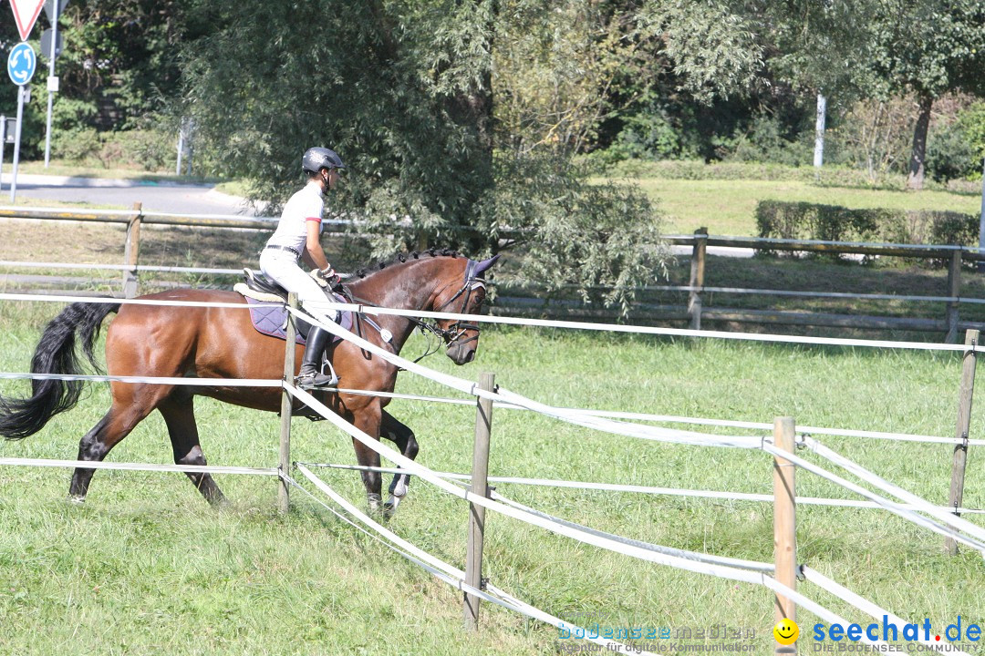 40. Reitturnier: Bodenseereiter: Radolfzell am Bodensee, 09.09.2012