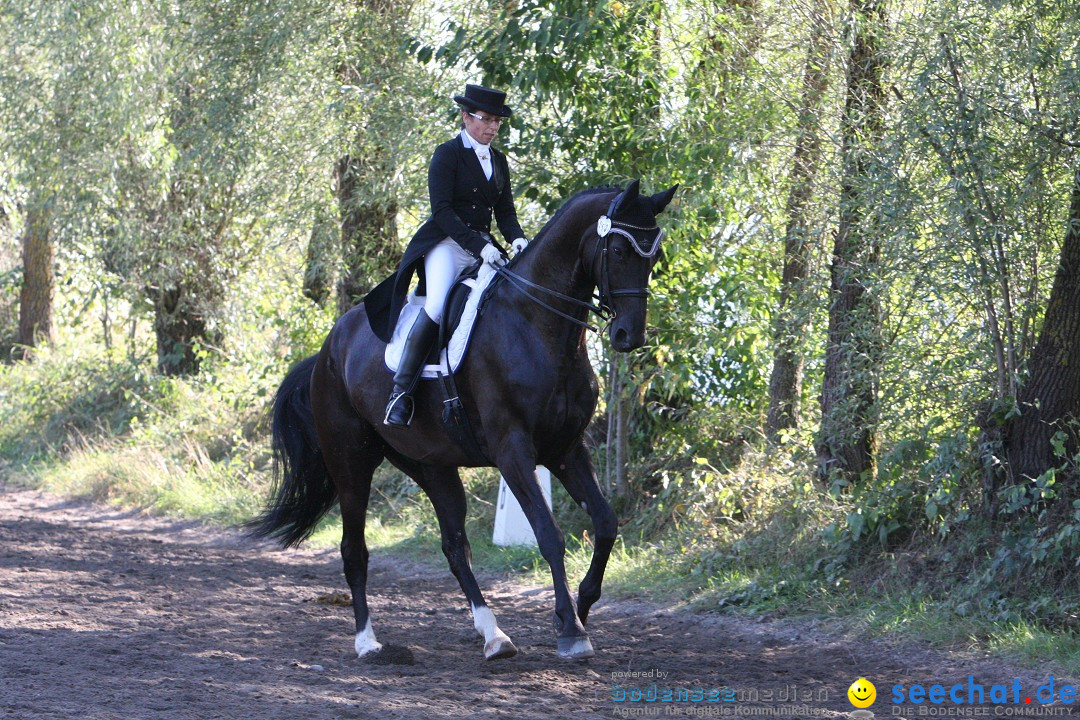 40. Reitturnier: Bodenseereiter: Radolfzell am Bodensee, 09.09.2012