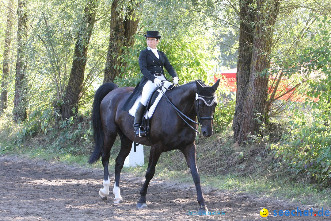 40. Reitturnier: Bodenseereiter: Radolfzell am Bodensee, 09.09.2012