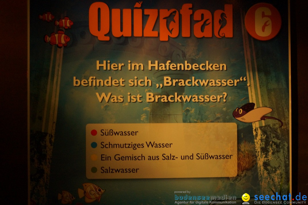 SEA LIFE: Unterwasserwelt: Konstanz am Bodensee, 23.11.2012