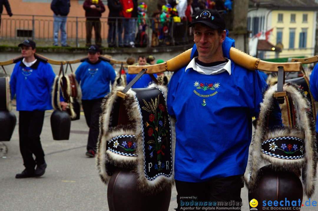 Fasnets-Umzug: Schweiz - Diessenhofen am Bodensee, 13.01.2013