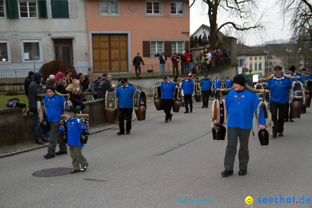 Fasnets-Umzug: Schweiz - Diessenhofen am Bodensee, 13.01.2013