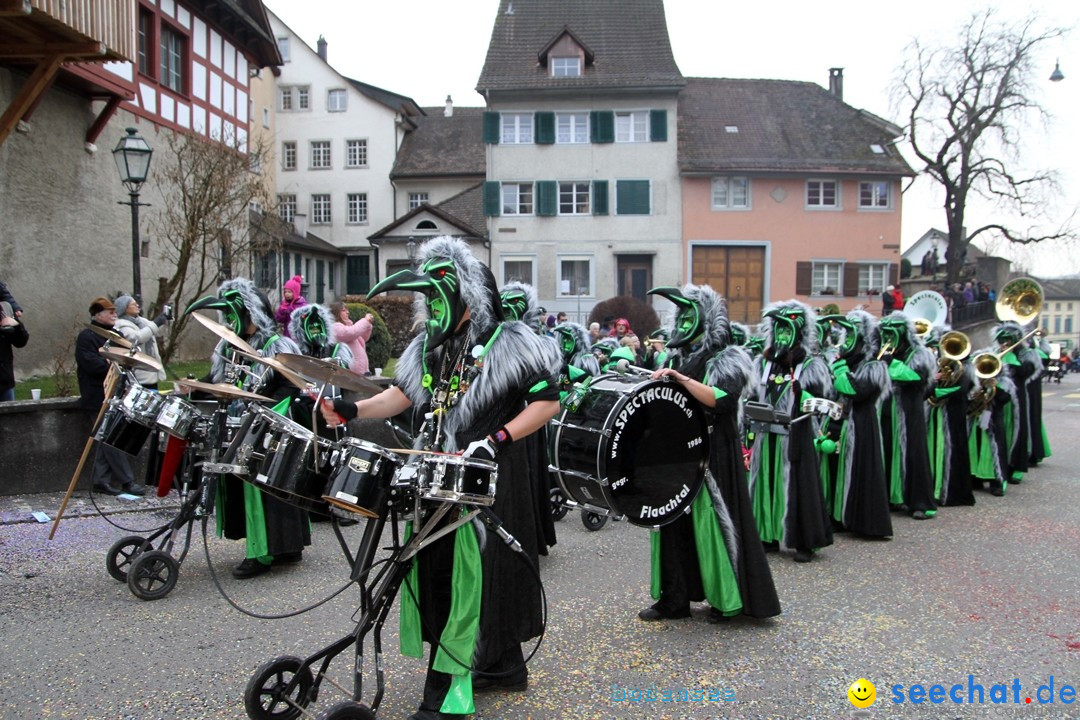 Fasnets-Umzug: Schweiz - Diessenhofen am Bodensee, 13.01.2013