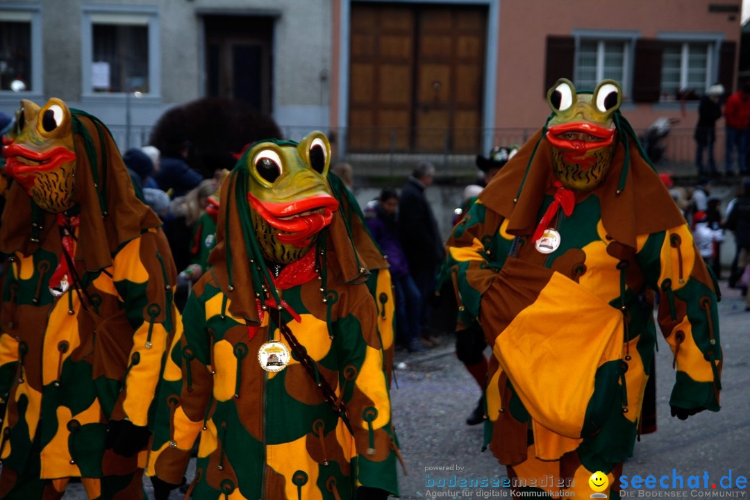 Fasnets-Umzug: Schweiz - Diessenhofen am Bodensee, 13.01.2013