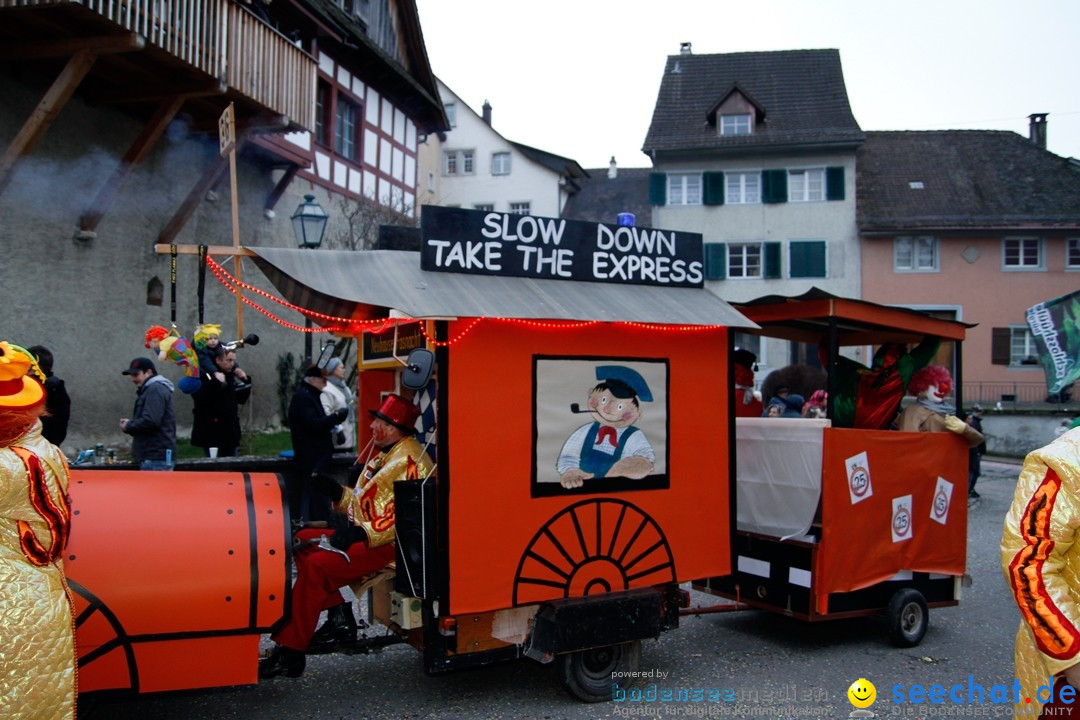 Fasnets-Umzug: Schweiz - Diessenhofen am Bodensee, 13.01.2013