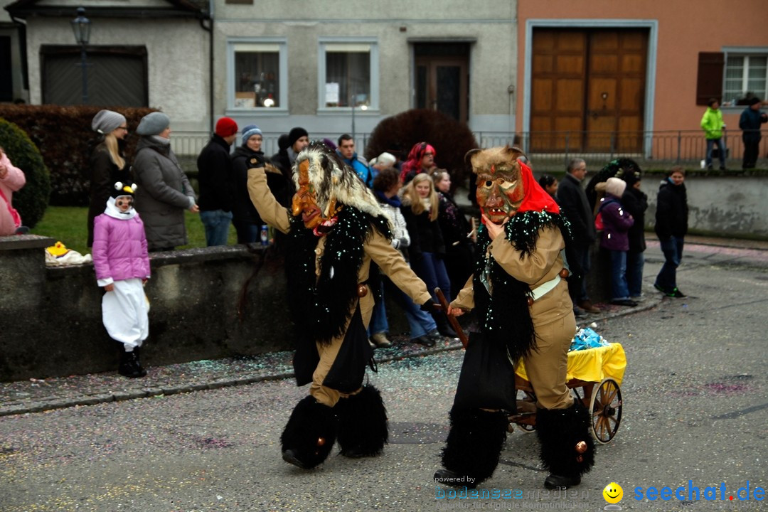 Fasnets-Umzug: Schweiz - Diessenhofen am Bodensee, 13.01.2013