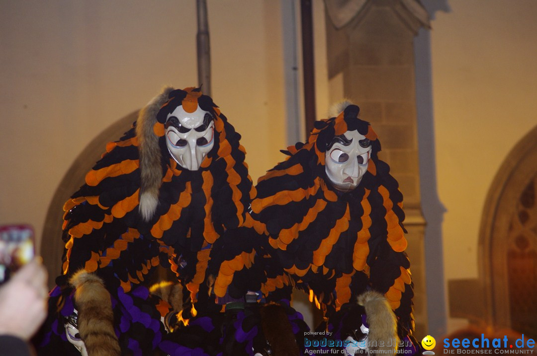Narrentreffen: Radolfzell am Bodensee, 18.01.2013