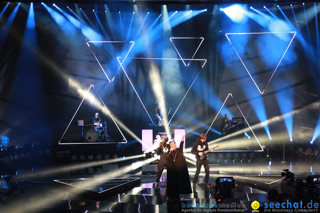 Wetten, dass..? - Europas einzigartige Live-Sendung: Offenburg, 19.01.2013