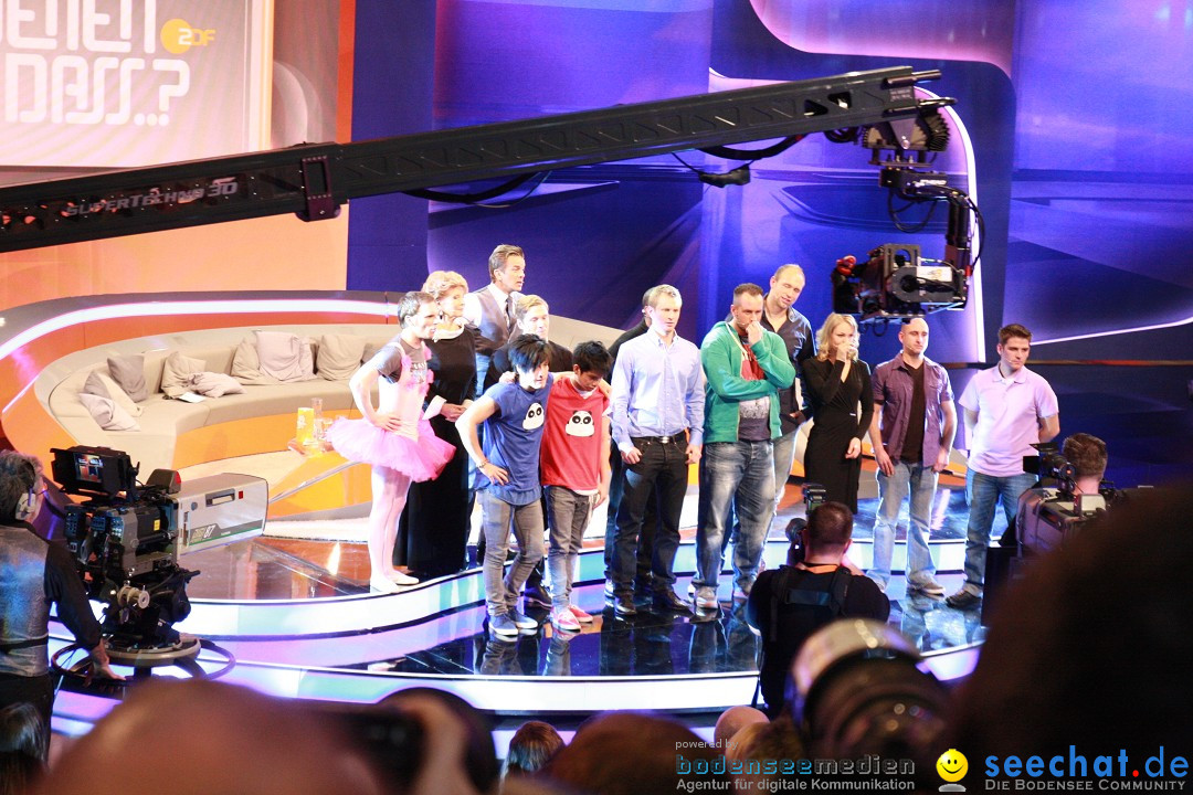 Wetten, dass..? - Europas einzigartige Live-Sendung: Offenburg, 19.01.2013