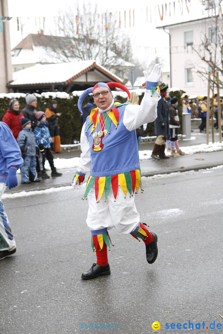 Narrentreffen-Radolfzell-20012013-bodensee-community-seechat-de_106.JPG